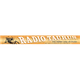 Radio Taurus Logo
