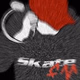 SkateFM - Various DJs Mix Logo