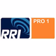 RRI - PRO1 Teluk Bintuni Logo