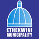 Durban Metro Southern Freeway Logo