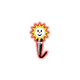Radio Solskin Logo
