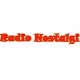 Radio Nostalgi Logo