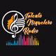 Talento Niquelero Radio Logo