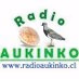 Radio Mapuche Aukinko Logo