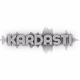 رادیو کاردستی Logo