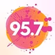 Fidelity  95.7 FM - WFDT logo