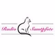 Katzenwelle Logo