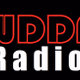 WDDF Radio Logo