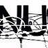 Tims Radio Logo