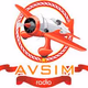 Авсим Радио - Хит Logo