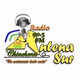Antena Sur Chincheros Logo