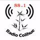 Radio Colihue 88.1 Logo