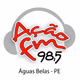 Rádio Ação Logo