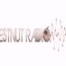 Chestnut Radio Logo
