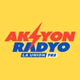 Aksyon Radyo La Union 783 - DZNL Logo