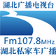 湖北私家车广播 Logo