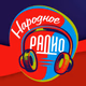 Narodnoe Radio 100.0 Logo