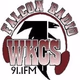 Falcon Radio - WKCS Logo