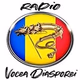 Radio Vocea Diasporei Logo