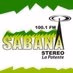 Sabana Stereo 100.1 Logo