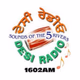 Desi Radio Logo