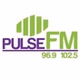 Pulse FM - WWPL logo