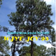 WJYF Joy 95 Logo