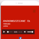 Radio Mozzecane Logo