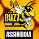 The Buzz Assiniboia Logo