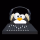 Pinguino Estereo 106.9 Logo