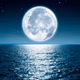 LUNA LINDA DE LA NOCHE Logo