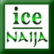 Ice Naija logo