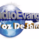 Radio Evangelica Voz De Salvacion Logo