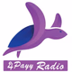 The Radio Network - APayy Radio Logo