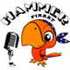 De HammerPiraat Logo