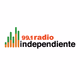 99.1 Radio Independiente Logo