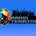 Radio Temazos FM Logo