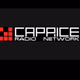 Radio Caprice - Instrumental Rock Logo