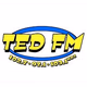 Ted FM - K246AM Logo