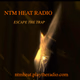 NTM Heat Logo