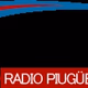 Radio Pigué LU34 Logo