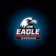 AFN Wiesbaden - The Eagle logo