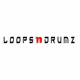 Loopsndrumz Music Station Logo