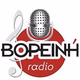 Βορεινή Radio Logo
