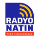 Radyo Natin Pinamungajan - DYRR Logo