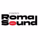 Radio Roma Sound 90 FM Logo