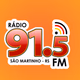 Rádio 91.5 FM Logo