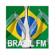 Brasil FM logo
