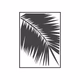 Palmera Blanca Radio Logo