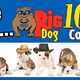 Big Dog Country Radio - WUUF Logo